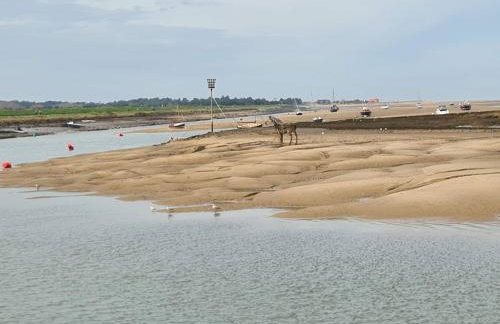Brisley North Norfolk cosy cottage garden pub and walks - Foto 61