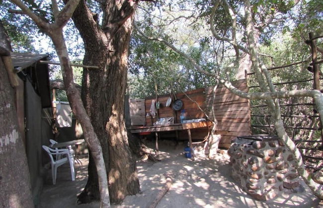 3 bed Bush-tent Under 3 Trees, for Couple Plus Chaperone Free Lionhyena Sounds - Foto 25