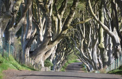 Country Garden House Holiday Homes - Foto 7