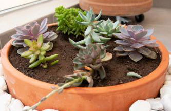 COQUETO VISTAS AL MAR - Foto 8