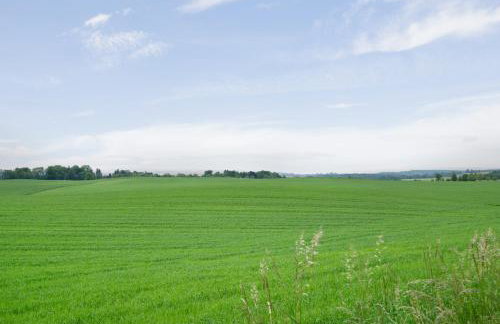 Ferienwohnung Dorfidyll - Foto 34