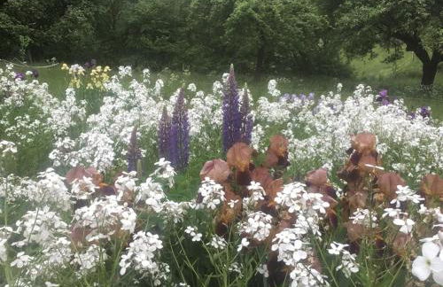 Kleine Villa im wilden Garten - Foto 14