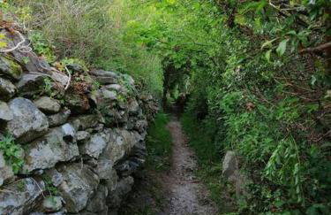 Lovely Stone Village cottage in Snowdonia - Foto 31