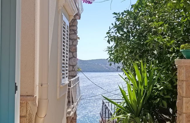 Villa Roza - Photo 1