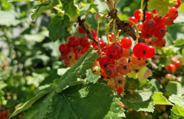 FeWo Fanissimo - Foto 16