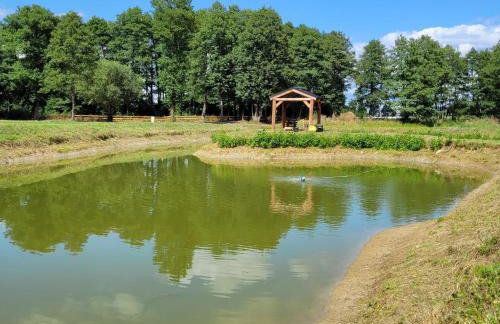 Zagroda Zabłocie Domki - Photo 6