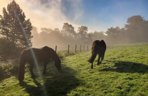 Willow Cottage At Naze Farm-Uk32760 - Foto 21