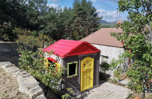 Los corzos - Photo 16