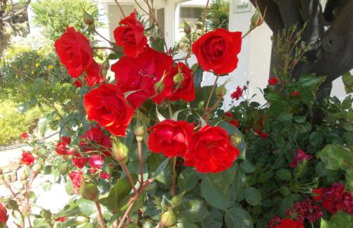 Residence La Carruba - Foto 76