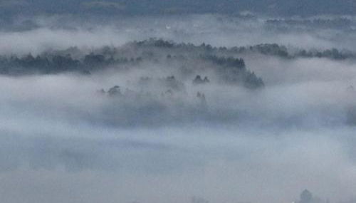 Quinta das Mineirinhas - Foto 2