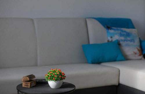 Tesouro do Atlântico - Photo 17