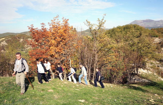 Bio Agriturismo La Cerqua - Foto 67