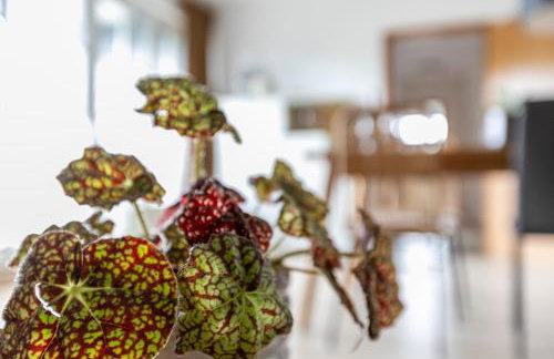 Ferienwohnung Meeressand - Foto 20