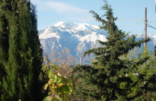 Angelucci Agriturismo con Camere e Agri Camping - Foto 24