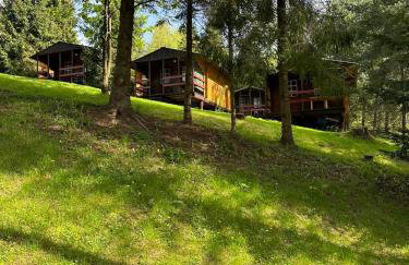 Domki letniskowe pod Brzozami Stella - Photo 34