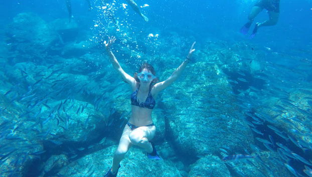 Puerto de Mogan Boat Trip and Snorkeling - Foto 2