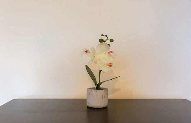 2-bedroom Penthouse, Clockhouse, Hoddesdon - Photo 22