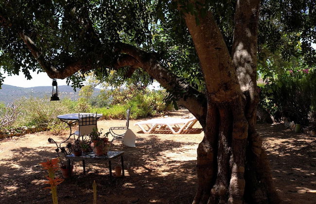 Quinta Amarela XL by Portucasa - Photo 23