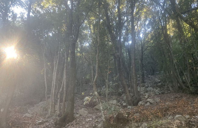 Casa Vacanze al Mare la Casa del Geco - Photo 26