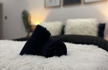 Wild City Centre Double Suite - Basketball Arcade Game, Free Gym - Foto 1