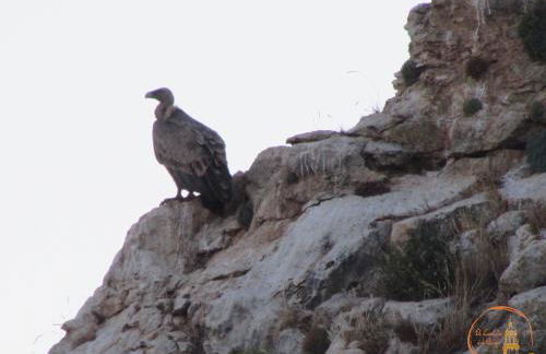 EL CAPRICHO DEL BURGO - Foto 57