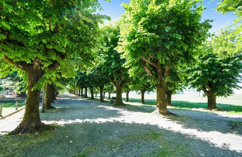 Iris Apartment Lago Maggiore - Foto 22