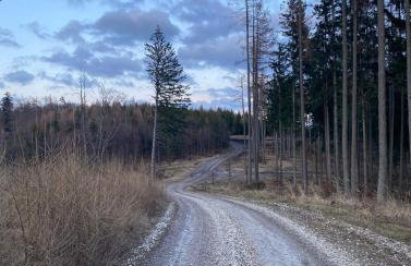 Apartamenty ARNIKA - Foto 64