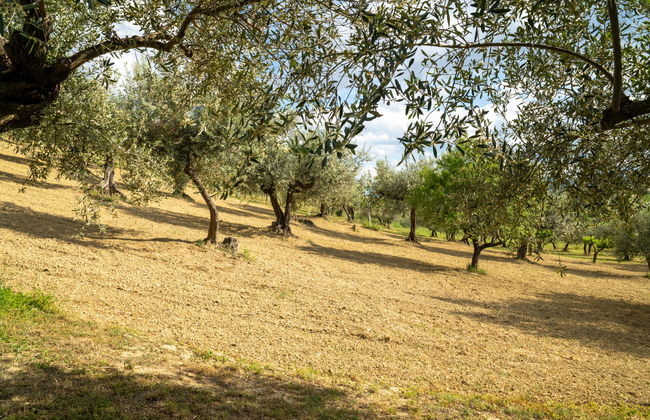 Villa Elster - Foto 35