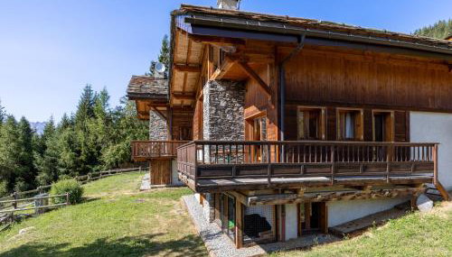 Chalet ALPACA (6-9 pers.) "Le Parchey" Peisey-Vallandry - Domaine Paradiski - Foto 2