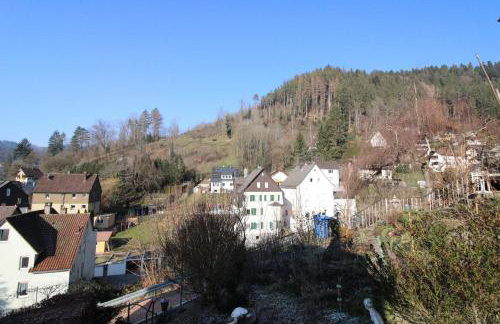 Schwarzwaldblick - Foto 7