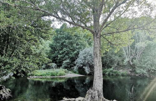 La nueva Escuela - Foto 30