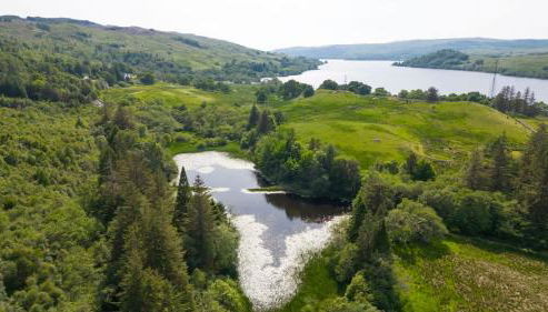 Blar Cottage (Private Sauna + Fast Starlink Wifi) - Foto 4