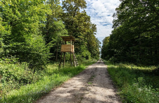 Pool House Klara With Sauna - Photo 38