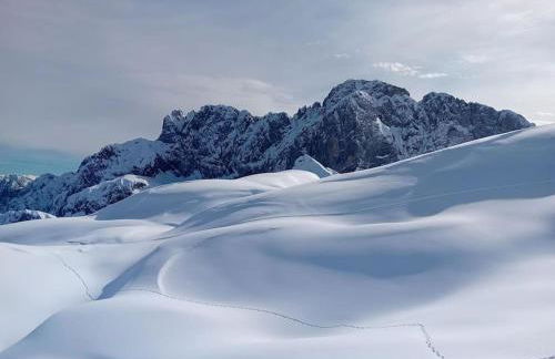 La marmotta gialla - apartment - lakes - mountains - Photo 41