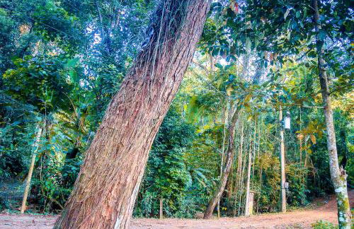 Chalé 01 Itaipu Vale da Colina Niterói - Photo 62