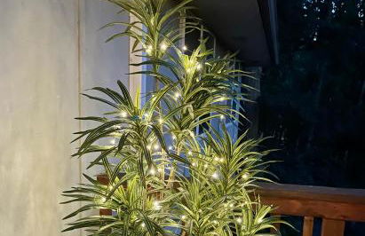 Forest Gallery- Mid-Century Modern With City Views - Photo 47