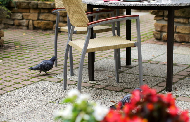 Adina Apartment Hotel Budapest - Foto 7