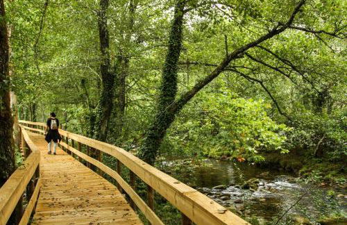 Jardim da Rosa - Foto 43