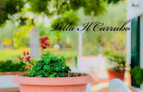 Villa Il Carrubo - Basilicata - Foto 33