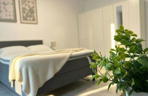 Spacious Apartment with Balcony - nearby Schlosspark - APOLONIAliving - Foto 14