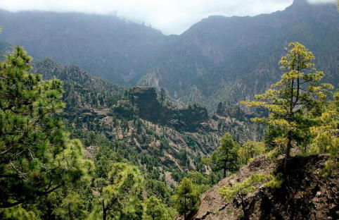 Estudio Bibi - Foto 25