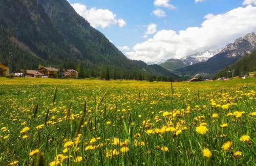 Appartamenti Residence Rodolon Fontanazzo - Foto 13