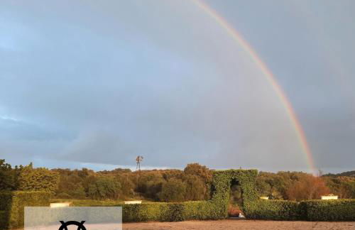 Herdade da Ordem - Foto 31