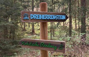 Landhaus Sommerberg - Foto 47