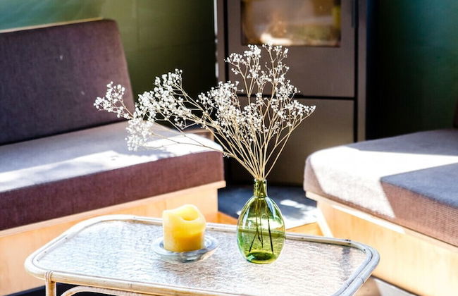 Waterlodge Goudule in Nes - Photo 8