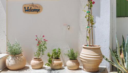 Anemelo Home - Foto 3