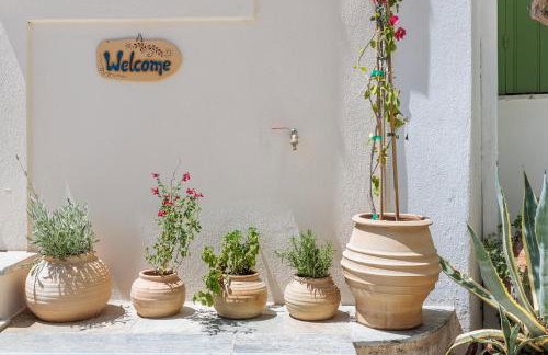 Anemelo Home - Foto 3