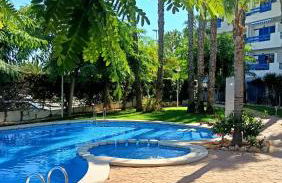 APARTMENT PALMAS DE COCO - Foto 1