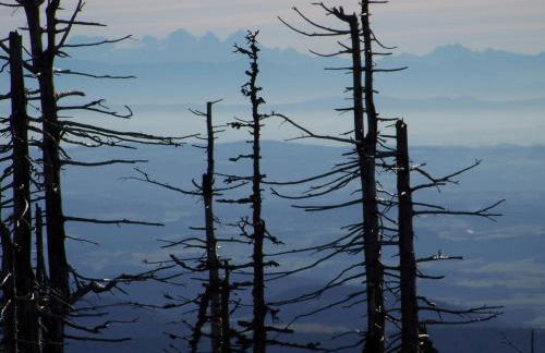 Gästehaus Rachelblick - Foto 36