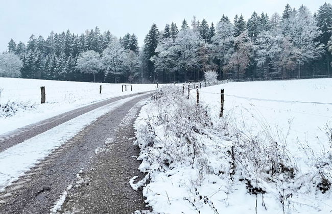 Holiday Home With a Convenient Location in the Giant Mountains for Summer & Winter - Foto 32